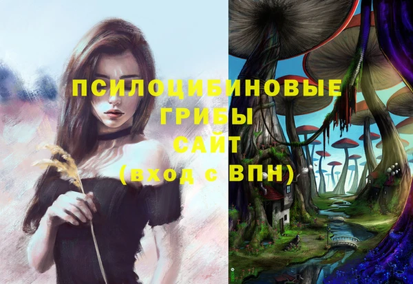 мдпв Баксан