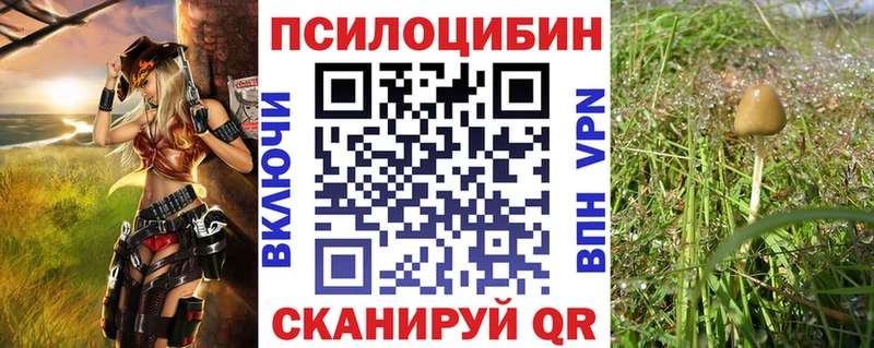 Галлюциногенные грибы Magic Shrooms  Шатура 