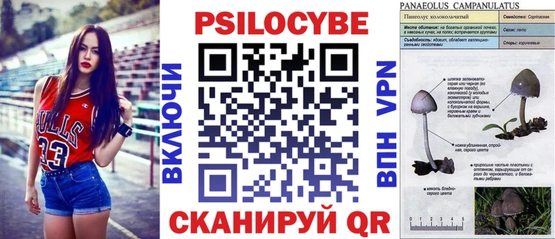 Псилоцибиновые грибы мухоморы Шатура